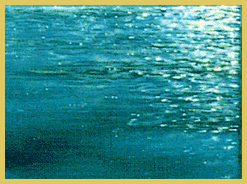 page0_sidebar_1